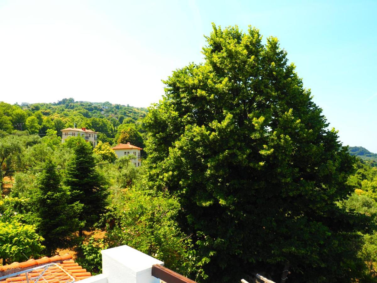 Felitsia Apartments & Studios Agios Ioannis  외부 사진