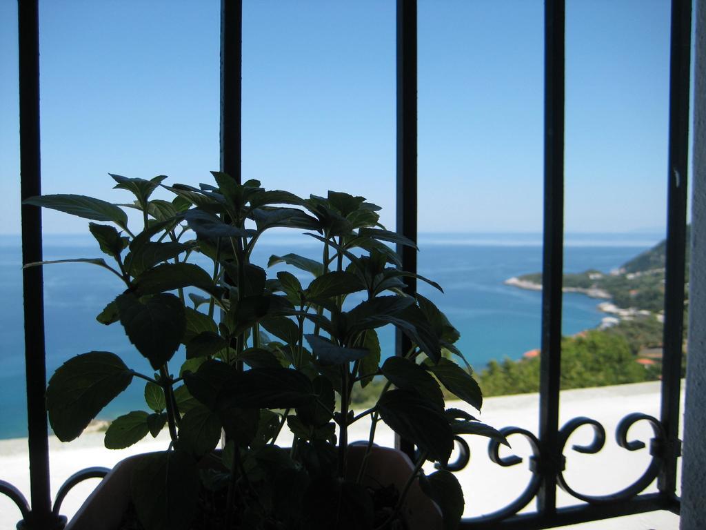 Felitsia Apartments & Studios Agios Ioannis  외부 사진
